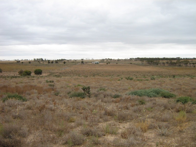 Lot 5 Government  Road TICKERA 5555, Tickera SA 5555