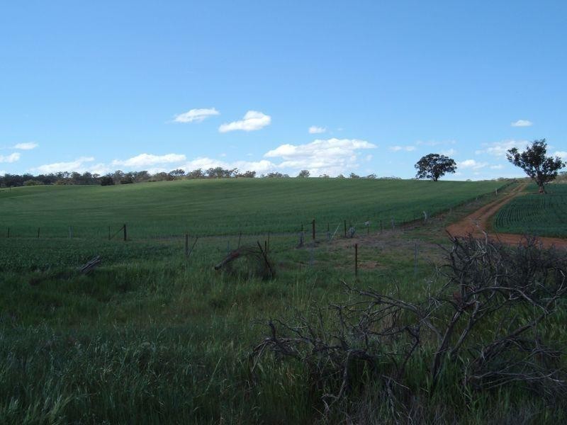 Main North Road  WIRRABARA 5481, Wirrabara SA 5481