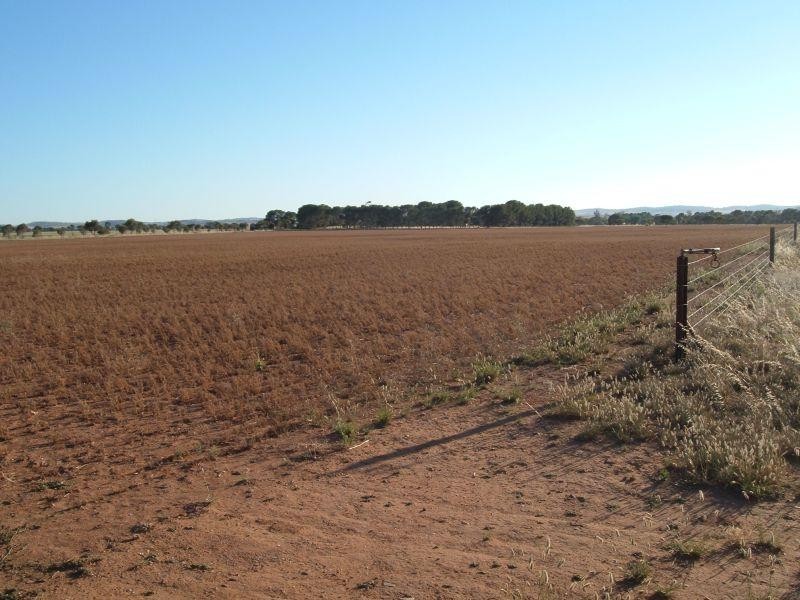 Section 192 Hundred Of Appila  APPILA 5480, Appila SA 5480