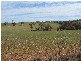 Farming And  Grazing WIRRABARA 5481, Wirrabara SA 5481