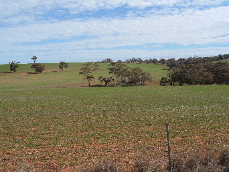 Farming And  Grazing WIRRABARA 5481, Wirrabara SA 5481