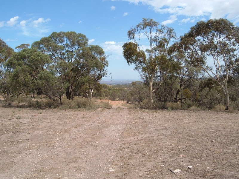 Collaby Hill Road  LAURA 5480, Laura SA 5480