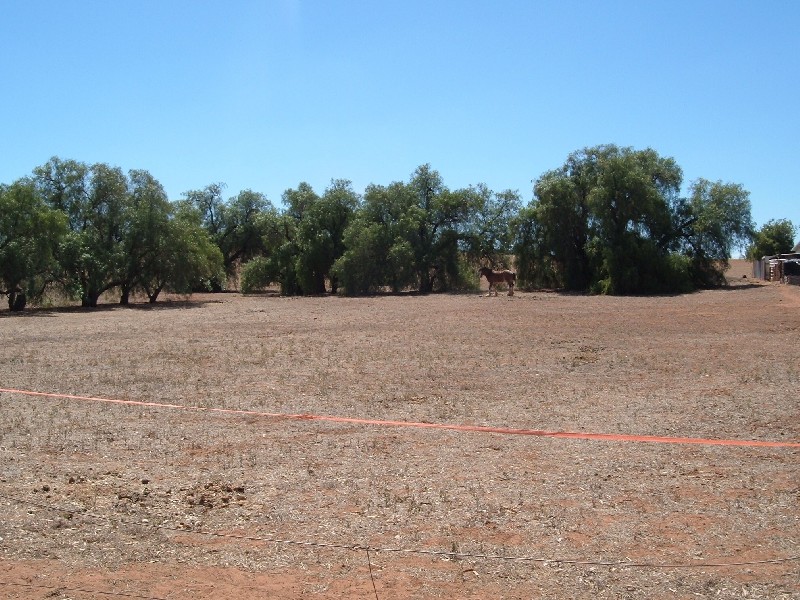 43 Murray Street STONE HUT 5480, Stone Hut SA 5480
