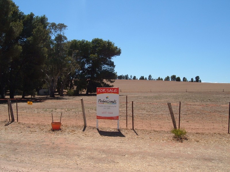 45 Murray Street STONE HUT 5480, Stone Hut SA 5480