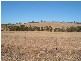 Wegner Road WIRRABARA 5481, Wirrabara SA 5481