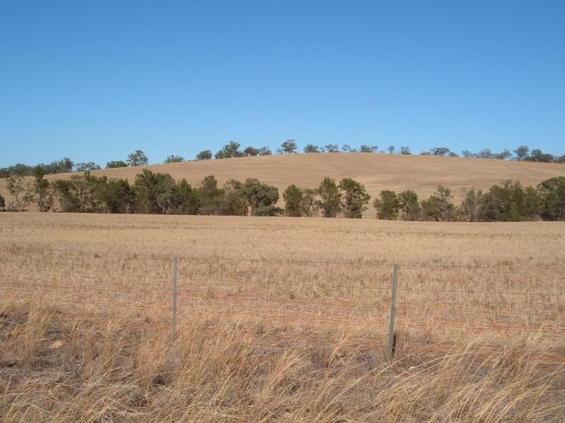 Wegner Road WIRRABARA 5481, Wirrabara SA 5481