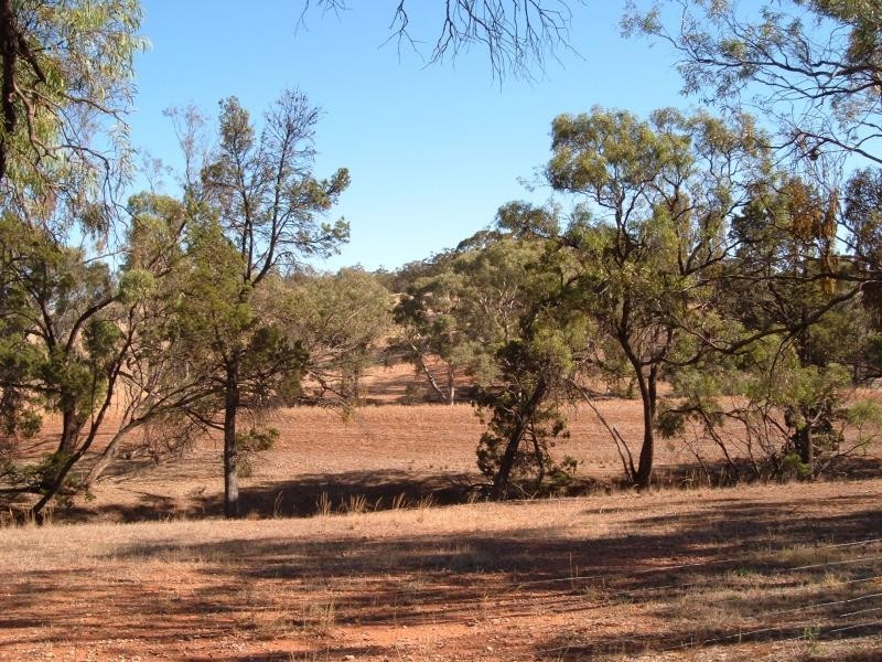 Wegner Road WIRRABARA 5481, Wirrabara SA 5481