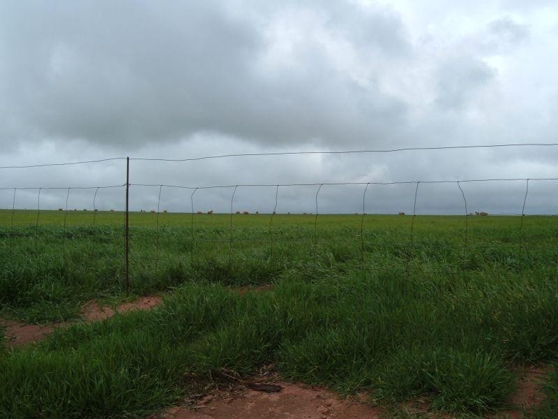 Lot 145 Matthew Street  GLADSTONE 5473, Gladstone SA 5473