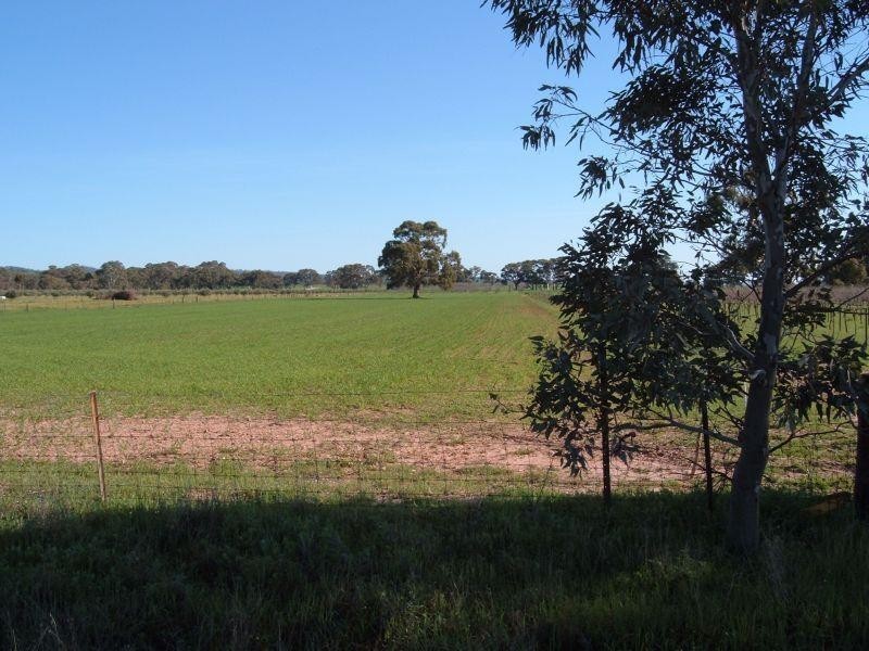 Lot 104 Beetaloo Road  LAURA 5480, Laura SA 5480