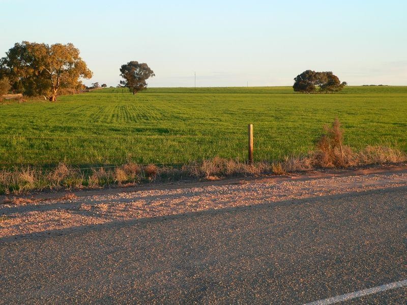 Appila Road  APPILA 5480, Appila SA 5480