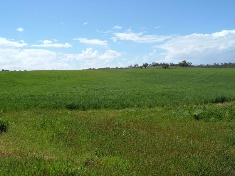 Main Road  WIRRABARA 5481, Wirrabara SA 5481