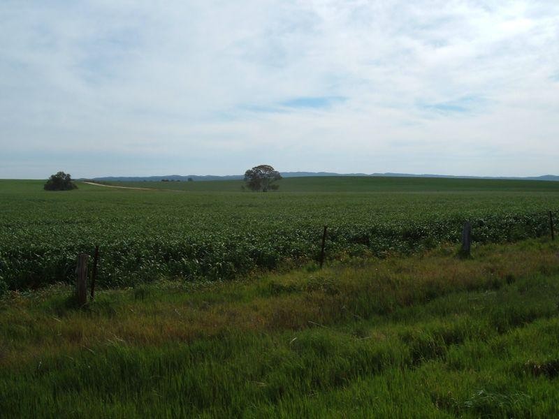 Main Road  WIRRABARA 5481, Wirrabara SA 5481