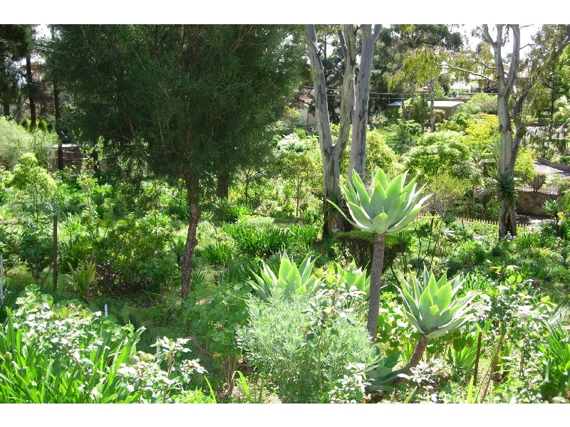 86 Barracks Road HOPE VALLEY 5090, Hope Valley SA 5090