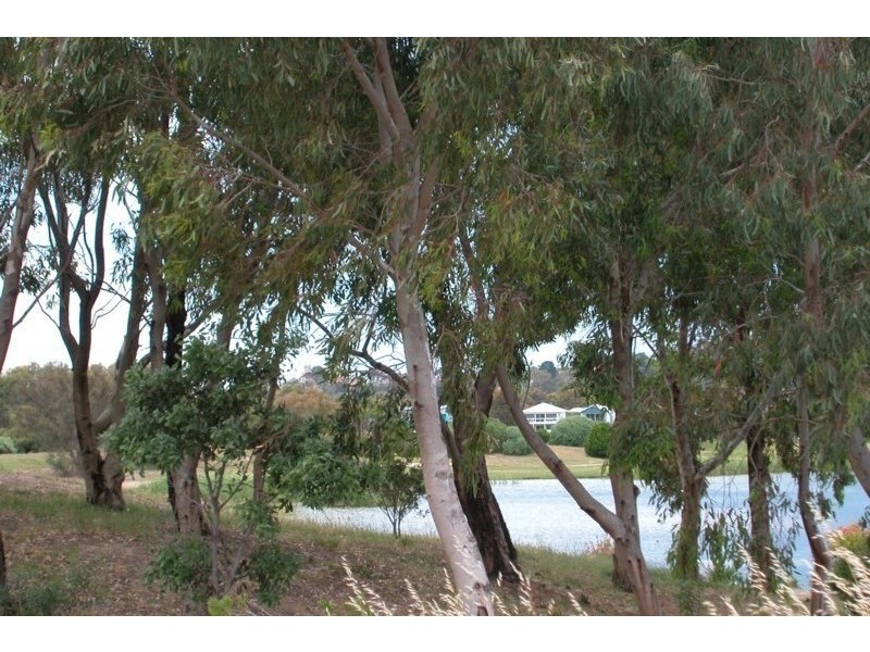 Lot 7 Coromandel Drive  MCCRACKEN 5211, Mccracken SA 5211