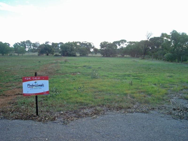Lot 7 Maitland Road MINLATON 5575, Minlaton SA 5575