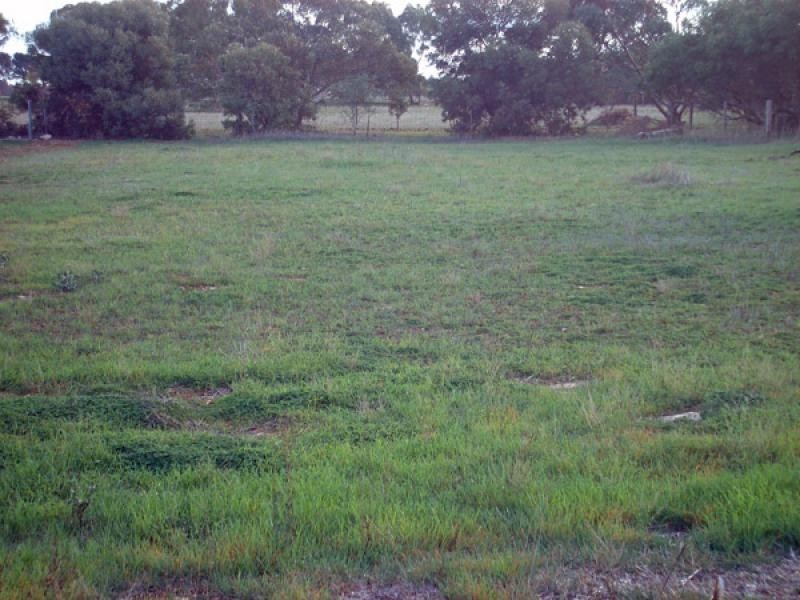 Lot 7 Maitland Road MINLATON 5575, Minlaton SA 5575