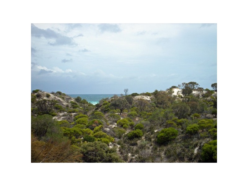 Lot 2 Sec Hd Moorowie Warooka Road HARDWICKE BAY 5575, Hardwicke Bay SA 5575