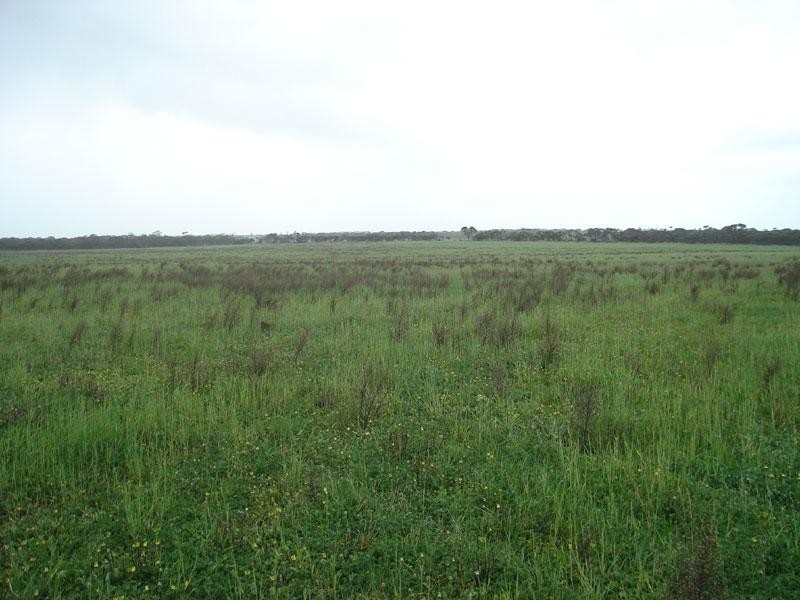 Section  232 Hundred Of Minlacowie  MINLATON 5575, Minlaton SA 5575