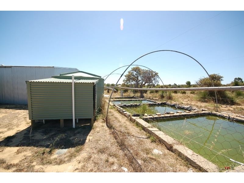 51 Darch Trail, Gabbadah WA 6041