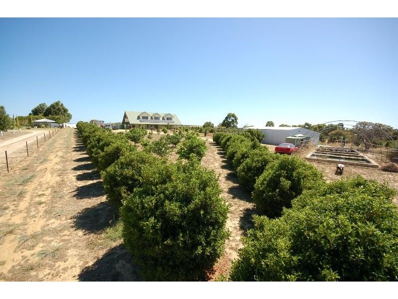 51 Darch Trail, Gabbadah WA 6041