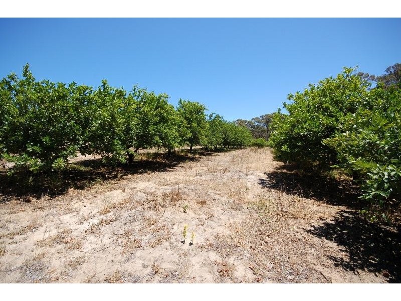 364 Nabaroo Road, Cowalla WA 6503