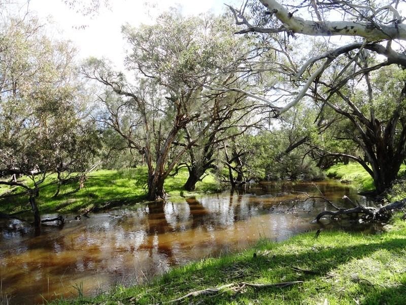 364 Nabaroo Road, Cowalla WA 6503