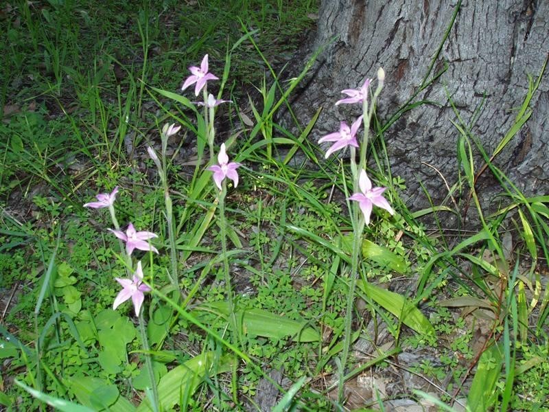 364 Nabaroo Road, Cowalla WA 6503