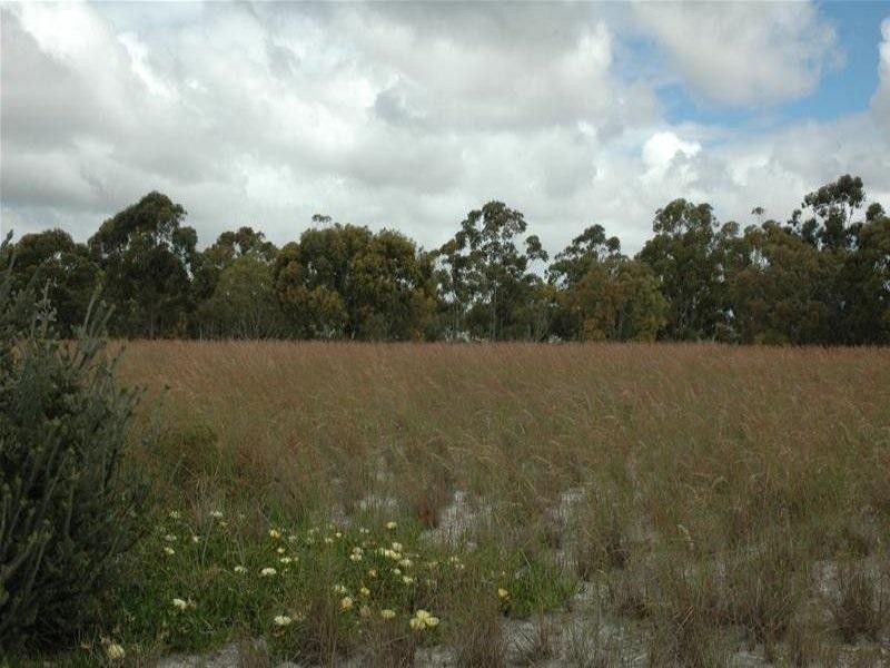 494 Neaves Road, Mariginiup WA 6078