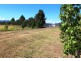 Lot 50 F M Bells Road, Mount Alford QLD 4310