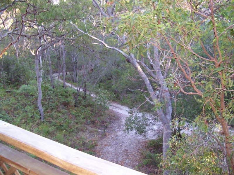 Fraser Island QLD 4581
