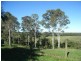Dundathu QLD 4650