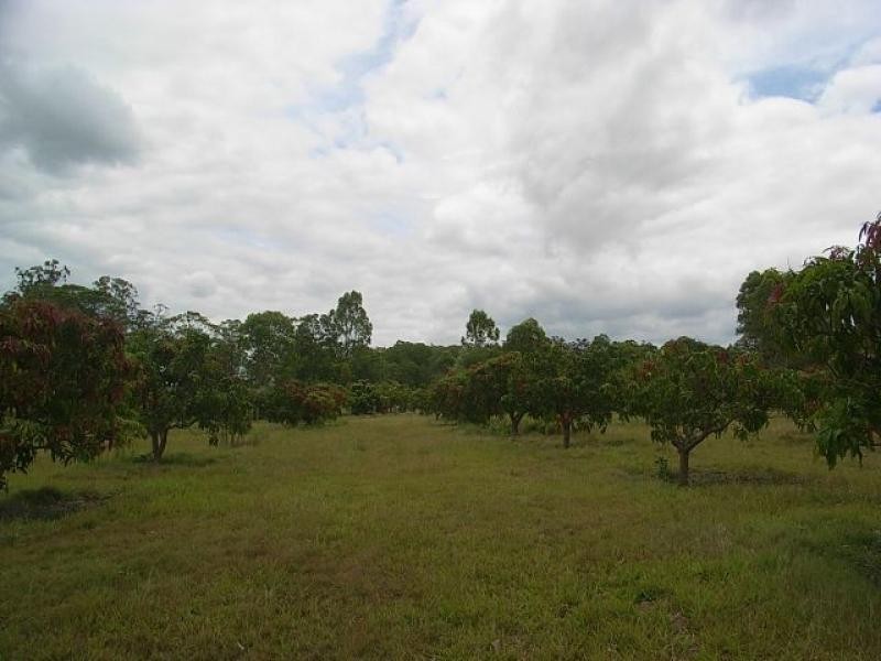 Tinana QLD 4650