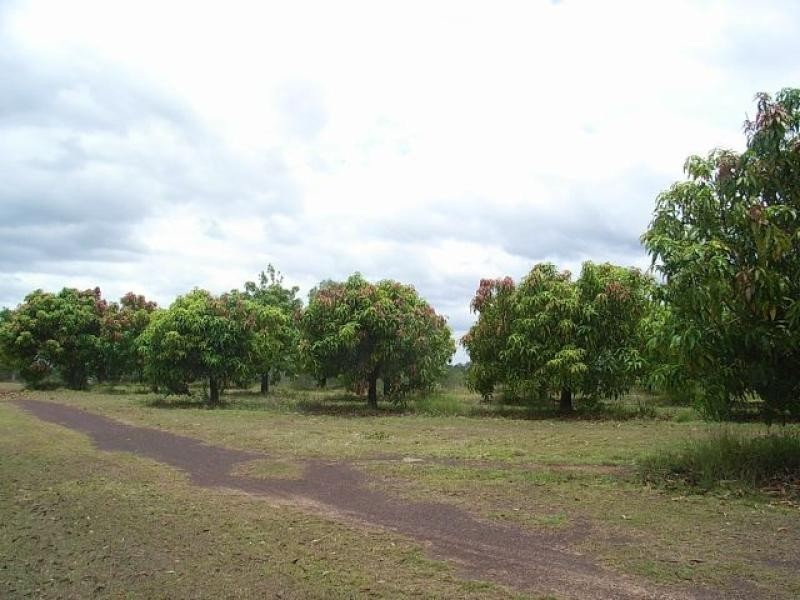 Tinana QLD 4650