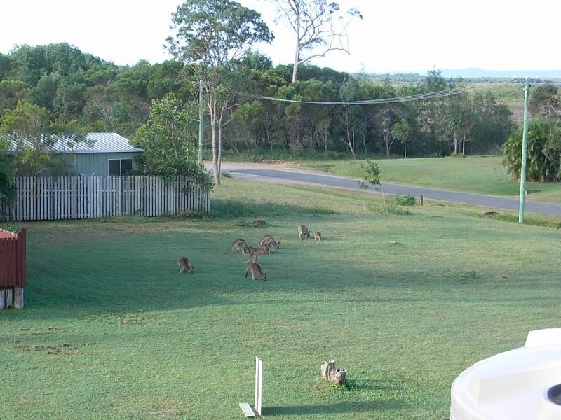 Maaroom QLD 4650
