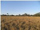 Lot 70 Eatonvale Road, Tinana QLD 4650