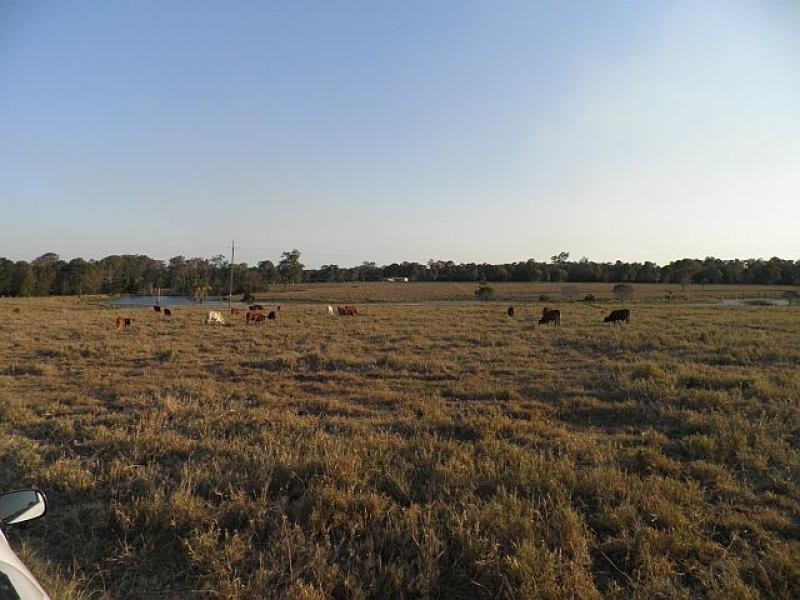 Lot 70 Eatonvale Road, Tinana QLD 4650