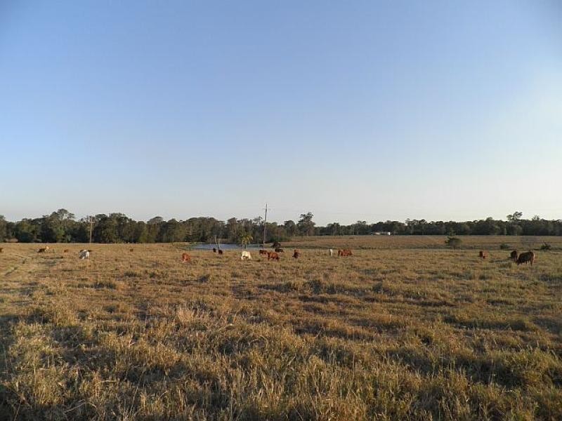 Lot 70 Eatonvale Road, Tinana QLD 4650