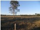 Lot 70 Eatonvale Road, Tinana QLD 4650