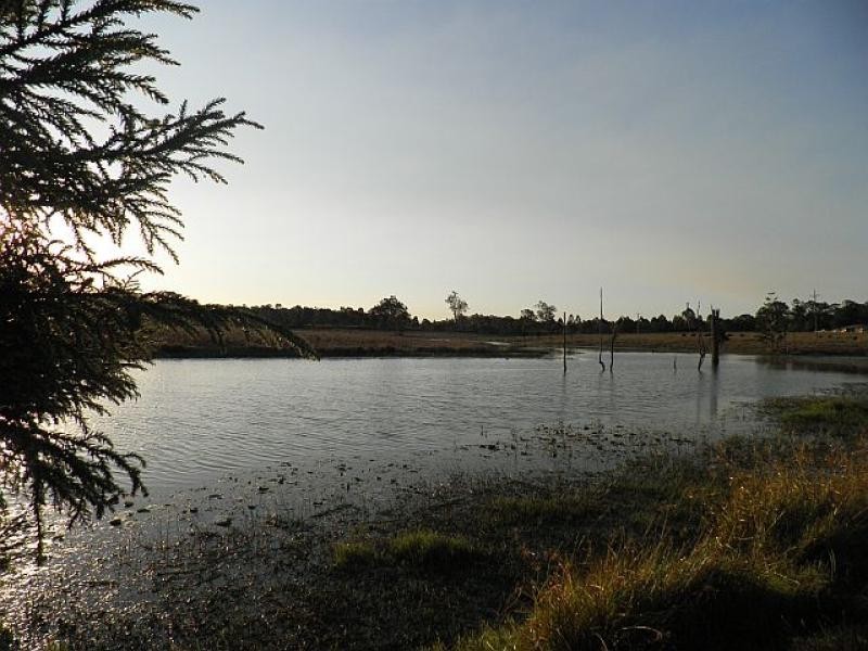 Lot 70 Eatonvale Road, Tinana QLD 4650