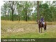 Old Gayndah Road & Suthers  Road, Maryborough West QLD 4650