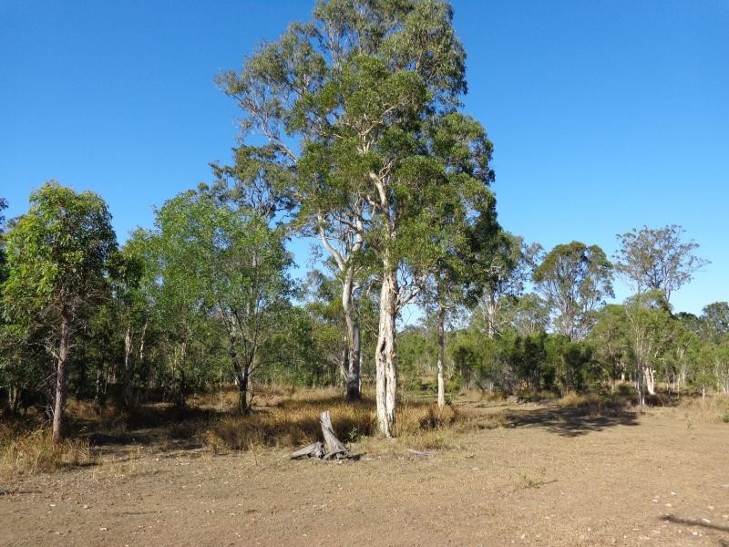 Tinana QLD 4650