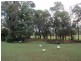Bidwill QLD 4650