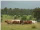 Gundiah QLD 4650