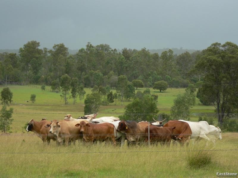Gundiah QLD 4650