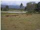 Gundiah QLD 4650