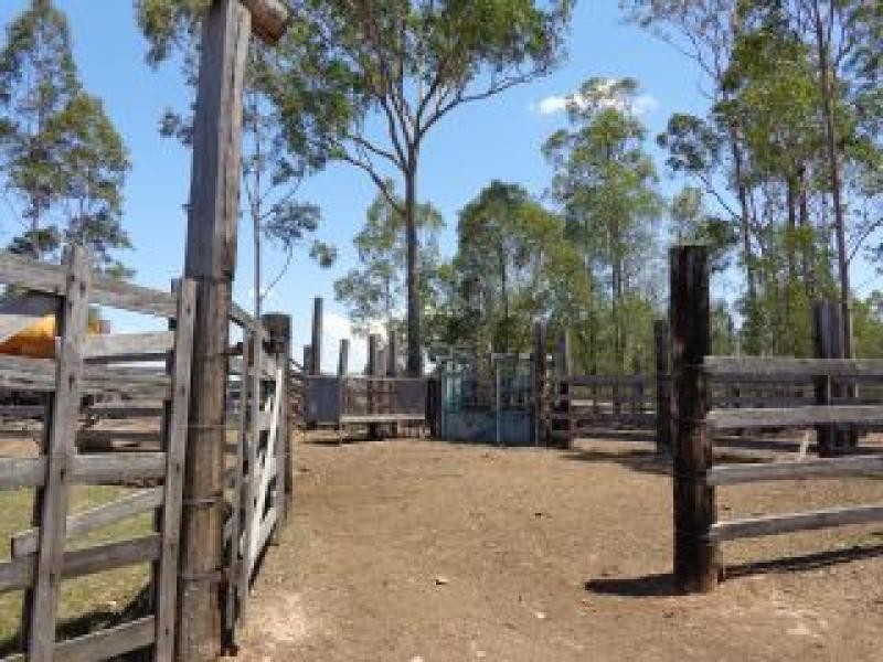 Gundiah QLD 4650
