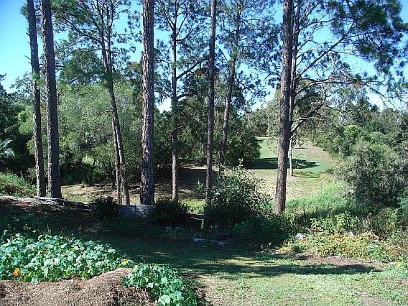 24 Cran  Street, Tinana QLD 4650