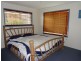 Tuan QLD 4650