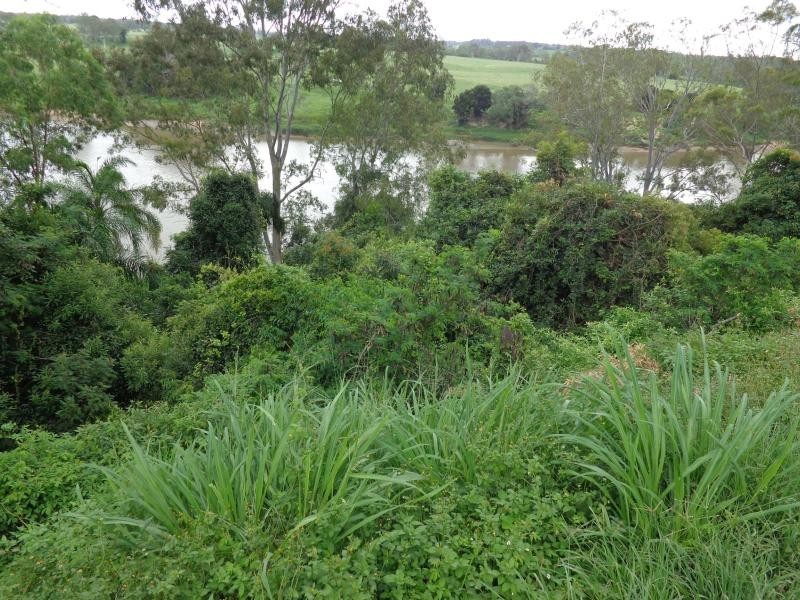 Maryborough West QLD 4650