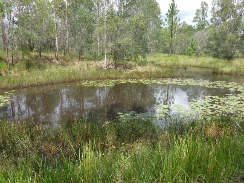 38 Pioneer Road, Grahams Creek QLD 4650